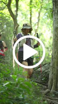 BIB:  <button type="button" onclick="openModal(27935504)" class="btn btn-primary btn-sm float-right" data-toggle="modal" data-target=".modal-high-quality">
                <i class="fa fa-download"></i> Download
                </button>